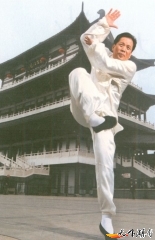 大成拳